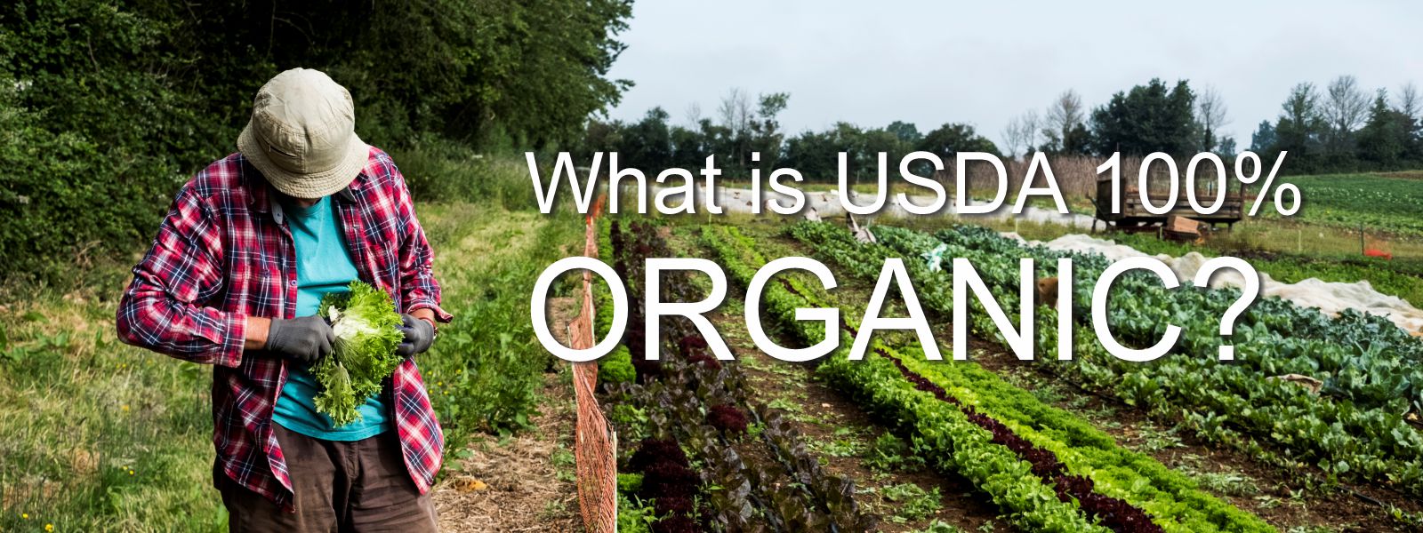 Man, farming organic crops - What is USDA 100% organic?